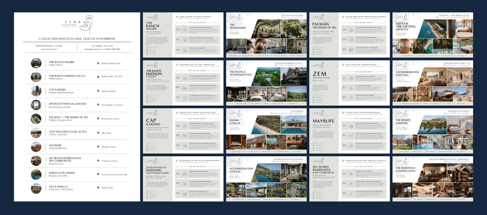 TERRA Collection web and social media management content design by Venice Halle Studio